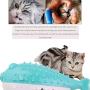 nobrand Cat Toy cat Toothbrush is Resistant to Gnawing, Cleaning Teeth and Grinding Teeth. Mint Simulation Fish Toy