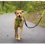 Tuff Mutt - Easy On/Easy Off Dog Harness, Medium & Large Breeds, Walk, Run & Hike with Confidence, Stay Safe with Bright Reflective Stitching, Two Secure Attachment Points Tuff Mutt - Easy On/Easy Off Dog Harness, Medium & Large Breeds, Walk, Run & Hike with Confidence, Stay Safe with Bright Reflective Stitching, Two Secure Attachment Points