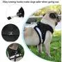 ZZBIQS Escape Proof Pet Harness with Reflective Strips, Universal Kitten and Puppy Harness and Leash for Walking, Breathable and Adjustable Pet Halters, Best Pet Supplies ZZBIQS Escape Proof Pet Harness with Reflective Strips, Universal Kitten and Puppy Harness and Leash for Walking, Breathable and Adjustable Pet Halters, Best Pet Supplies