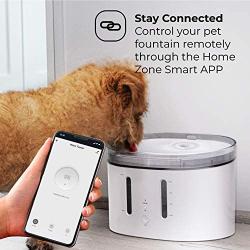Home Zone Pet Water Fountain - Smart Wireless Water Fountain for Small Cats and Dogs, 2L