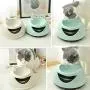 CHZHENG Pet Water Dispenser, Automatic Luminous Pets Water Fountain for Cats Fountain Dogs USB Electric Water Dispenser Drinker Feeder Bowls,B CHZHENG Pet Water Dispenser, Automatic Luminous Pets Water Fountain for Cats Fountain Dogs USB Electric Water Dispenser Drinker Feeder Bowls,B