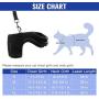 PUPTECK Checkered Frills Soft Mesh Dog Vest Harness Puppy Padded Pet Harnesses for Cat Small Dogs