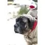 HuggleHounds Plush Corduroy Durable Squeaky Knottie Dog Toy for Aggressive Chewers HuggleHounds Plush Corduroy Durable Squeaky Knottie Dog Toy for Aggressive Chewers