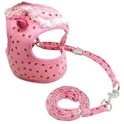 Didog Adjustable Pet Mesh Vest Harness and Leash Set with Cute Bell for Puppy Small Medium Dogs and Cats
