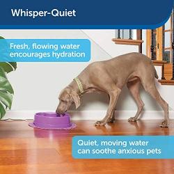 PetSafe Current Pet Water Fountain, Circulating Drinking Fountain for Cats and Dogs, Large, Purple, 120 oz. Water Capacity