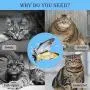 2Pack Electric Moving Fish Cat Toy, Simulation Flopping Fish Catnip Toy, Realistic Plush Dancing Wiggle Kicker Fish Cat Toy, Funny Interactive Pet Chew Bite Kick Supplies for Cat Kitten Kitty Exercise 2Pack Electric Moving Fish Cat Toy, Simulation Flopping Fish Catnip Toy, Realistic Plush Dancing Wiggle Kicker Fish Cat Toy, Funny Interactive Pet Chew Bite Kick Supplies for Cat Kitten Kitty Exercise