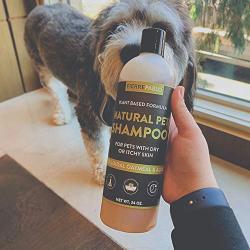 PierrePablo Natural Oatmeal Dog Shampoo with Enhanced Odor Control, 24 Ounces
