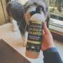 PierrePablo Natural Oatmeal Dog Shampoo with Enhanced Odor Control, 24 Ounces