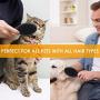 Saiveina Dog Brush and Cat Brush, Pet Grooming Comb, 2 Sided Bristle and Pin for Long and Short Hair Dog