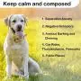 Moropaky Puppy Toy Heartbeat Toy for Anxiety Relief, Behavioral Training Aid Toy for Dog Calming Sleeping Soother Cuddle Snuggle Your Pet