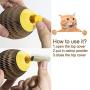Cat Toys for Indoor Cats, Upgrade Catnip Kitten Toys for Cats, Cardboard Scratch Ball Refillable Catnip Toy Cat Tickle Toy Set with Catnip, Cat Interactive Toys for Kitten Scratching Playing