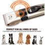 Dog Hair Clippers for Grooming – Professional Low Noise Electric Cordless Pet Hair Trimmer Shaver Razor for Dogs Cats and Other Animal with Thick Long and Thin Hair