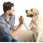 Dog Whistle High Pitch Training Pet Dog Metal Toys Outdoor Dog Whistle Pet Trainer 2PCS Dog Whistles