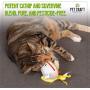 Pet Craft Supply Silly Snacks and Funny Food Crinkle Cuddling Catnip and Silvervine Toys