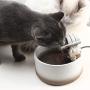Ceramic Cat Water Fountain, Silent&Multilayer Filtering Cat Water Dispenser, Automatic Drinking Fountain for Pets (1.5L)