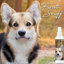 The Blissful Dog Cologne