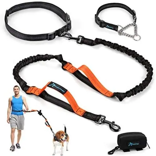 PuppyDoggy Hands Free Dog Leash Reflective 6 ft for Large and Medium Dogs with Adjustable Waist Belt & Chain Martingale Dog Collar & Poop Bag Dispenser for Running Walking Training (Medium, Orange)