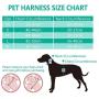 PAWISE Dog Harness No Pull Pet Reflective Mesh Soft Padded Mesh Walking Vest with 2 Leash Clips
