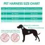 PAWISE Dog Harness No Pull Pet Reflective Mesh Soft Padded Mesh Walking Vest with 2 Leash Clips PAWISE Dog Harness No Pull Pet Reflective Mesh Soft Padded Mesh Walking Vest with 2 Leash Clips