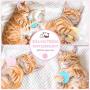 Dorakitten 3PCS Cat Toy Ball Interactive Cat Training Toy Pet Playing Ball Pet Squeaky Toy