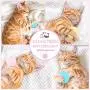 Dorakitten 3PCS Cat Toy Ball Interactive Cat Training Toy Pet Playing Ball Pet Squeaky Toy Dorakitten 3PCS Cat Toy Ball Interactive Cat Training Toy Pet Playing Ball Pet Squeaky Toy