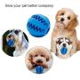 MTOM Best Bite-Resistant Dog Molar Ball, Dog Treat Toy Ball, Used for IQ Training of Big and Small Dogs, Dog Tooth Cleaning, Playing, Chewing, Interaction (Blue)