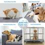 Washable Puppy Pad, Premium Waterproof Dog Pee Pads Training Pad, Reusable Pet Non Slip Dog Pee Mat with Great Urine Absorption, Easy to Wash, Multiple Perfect Sizes to Choose (1pcs)