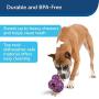 PetSafe Busy Buddy Barnacle Treat Dispensing Dog Toy