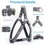 KLCW Dog Harness and Leash Set Back-Clip Dog Harness No Pulling No Choking Step-in Dog Harness, for Small and Medium Size Dogs, Good for Daily Walking and Training