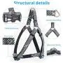 KLCW Dog Harness and Leash Set Back-Clip Dog Harness No Pulling No Choking Step-in Dog Harness, for Small and Medium Size Dogs, Good for Daily Walking and Training