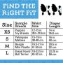 Wags & Wiggles Female Dog Diapers | Doggie Diapers for Female Dogs | Medium Dog Diapers, 16.5''-21'' Waist - 12 Pack