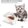 LIONWEI LIONWELI Melamine Tilted Elevated Cat Dog Bowl Raised Cat Food Water Bowl Dish Stress Free, Backflow Prevention, Made to FDA/EC&ECC European Standard LIONWEI LIONWELI Melamine Tilted Elevated Cat Dog Bowl Raised Cat Food Water Bowl Dish Stress Free, Backflow Prevention, Made to FDA/EC&ECC European Standard