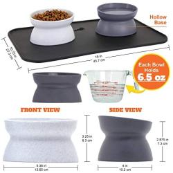 Kitty City Raised Cat Food Bowl Collection, Stress Free Pet Feeder and Waterer