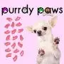 Purrdy Paws Soft Nail Caps for Dog Claws Soft Pink Purrdy Paws Soft Nail Caps for Dog Claws Soft Pink