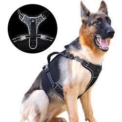 Rision Dog Harness No Pull Dog Harness Adjustable Outdoor Reflective Pet Vest No-Pull Dog Harness with 2 Leash Clips for Small, Medium, Large Dogs, Easy Control Handle for Walking