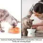 SunGrow Ceramic Cat Bowl with Stand, Suitable Eating Height for Pets, Raised Food Bowl, Mealtime for Your Cats, Stoneware Feeding Station SunGrow Ceramic Cat Bowl with Stand, Suitable Eating Height for Pets, Raised Food Bowl, Mealtime for Your Cats, Stoneware Feeding Station