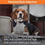 SportDOG Brand NoBark Rechargeable Bark Control Collar - Programmable, Waterproof Bark Collar