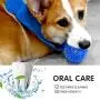 SHARLOVY Squeaky Balls for Dogs Small, Fetch Balls for Dogs Rubber 6 Pack Bright Colors TPR Puppy Toys Dog Toy Balls Dog Squeaky Toys Spike Ball Dog Chew Toys for Small SHARLOVY Squeaky Balls for Dogs Small, Fetch Balls for Dogs Rubber 6 Pack Bright Colors TPR Puppy Toys Dog Toy Balls Dog Squeaky Toys Spike Ball Dog Chew Toys for Small