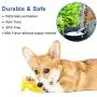 Devsolution Dog Chew Toothbrush Stick Teeth Cleaning Toys Molar Bite Toy for Pet Puppy Brushing Dental Oral Care