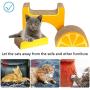 Hollypet Cat Scratcher, 3 in 1 Cat Scratch Pad, Kitten Lounge Bed, Premium Recyclable Corrugated Cardboard