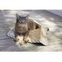 Petlinks Floor Cat Scratchers