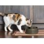 PetSafe Drinkwell Pet Fountain