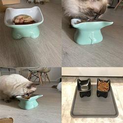 JUILE YUAN Raised Cat Food Bowl, Elevated Slanted Kitten Bowl, Cat Dish Bowl, Ceramic Cat Pet Feeding Bowl – Stable and Sturdy Design – Comfortable and Safe Eating – Easy to Clean