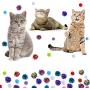 WILLBOND 20 Pieces Random Glitter Pom Pom Balls Cat Toy Pom Balls Tinsel Balls 12 Pieces Crinkle Balls with Plastic Bottle for Kittens Crafts Party Decorations (Multicolor)