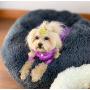 ALLNEO Original Cat and Dog Bed Luxury Shag Fuax Fur Donut Cuddler Round Donut Dog Beds Indoor Pillow Cuddler for Medium Small Dogs