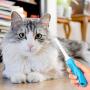 Freshly Bailey Dog & Cat Comb - Get Rid of Tangles & Mats - Amazing Dual Length Pet Comb for Easy & Quick Grooming - Perfect Dematting Combs for Dogs & Cats - Keep Your Fur Babies Happy & Groomed