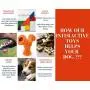 Home Simple Things Interactive Dog Toy for Medium or Large Breeds - Chew Puzzle for Aggressive Chewers, Treat Dispensing Dog Toy, Juguetes para Perros, Puppy Puzzle Toy, Interactive Dog Puzzle Toy