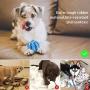 PetInn Dog Training Collar Bundle with Dog Treat Toy Ball