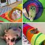 PAOPO Cat Tunnel,Cat Tube Toy Collapsible Indoor Interactive Cat Play Tunnel 2 Way Tube with Fun Ball Cat Toy,Best for Cat,Puppy,Rabbit