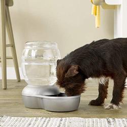 Petmate Replendish Gravity Waterer With Microban for Cats and Dogs, 2.5 Gallons
